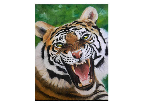 tiger